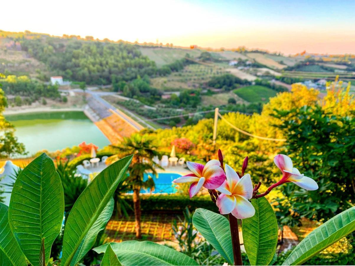Chiaraluce Country House Massignano エクステリア 写真